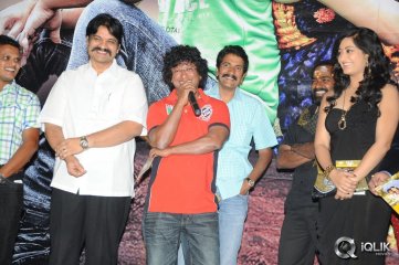 Cut Chesthe Movie Audio Launch